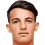 A. Hosseinzadeh